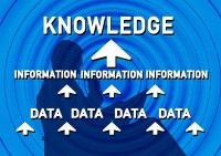 炒汇入门必备，核心知识与实用技巧全解析