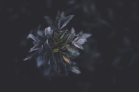 暗黑破坏神2，符文之语知识深度解析——法师的启蒙神器，低配也能逆天