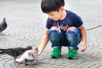 幼儿园家庭教育，用爱与智慧陪伴孩子成长